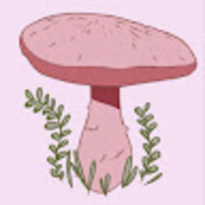 Meet your Posher, Pink